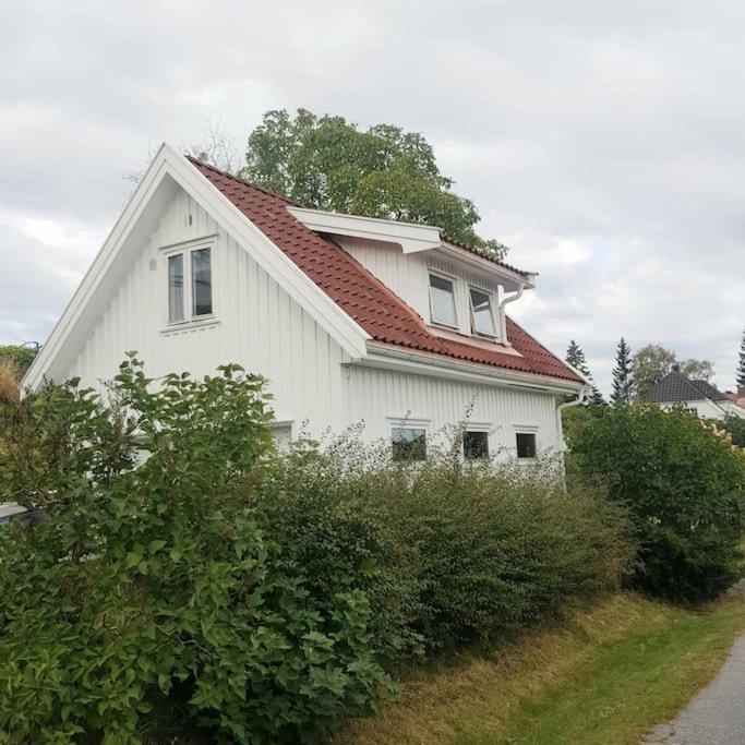 Lys Og Lettstelt Leilighet Med Utsikt Over Byen Apartment Sandefjord Luaran gambar